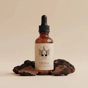 Reishi – Calma y equilibrio emocional Chaga – Defensas y antioxidante profundo