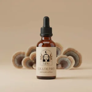 Chaga – Defensas y antioxidante profundo Cola de Pavo – Inmunidad y defensas naturales