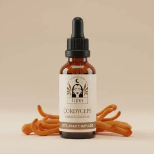 Chaga – Defensas y antioxidante profundo cordyceps